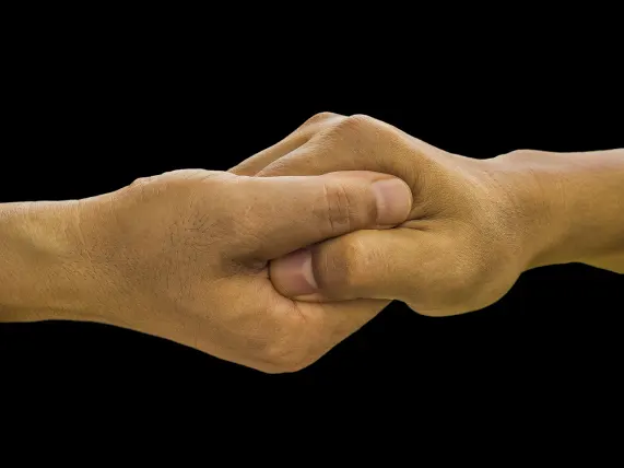 Kazino Stake 7 Atbalsts